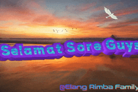 a picture of a sunset with the words " selamat sore guys "