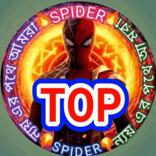 a picture of a spider man with the words top spider on it