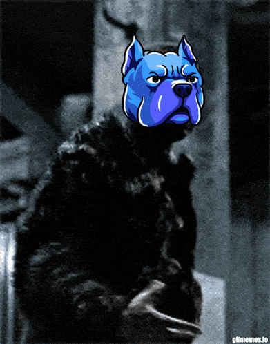 a gif of a man with a blue dog on his head