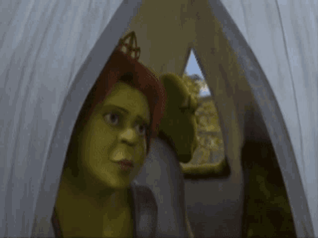 Are We There Yet Donkey GIF - Are We There Yet Donkey Asno GIFs