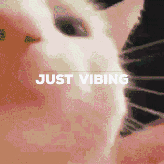 Just Vibing GIF - Just Vibing GIFs