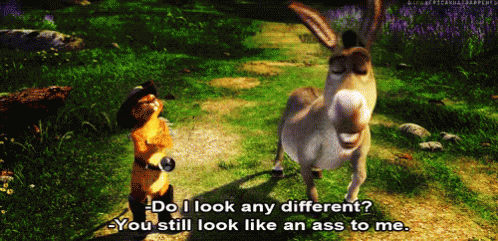 You Still Look Like An Ass To Me GIF - Jackass Donkey Shrek GIFs