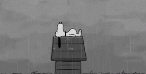Snoopy Rain GIF - Snoopy Rain Rooftop GIFs