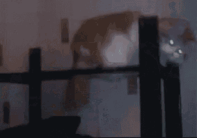 a blurred image of a person standing in a dark room behind a fence .
