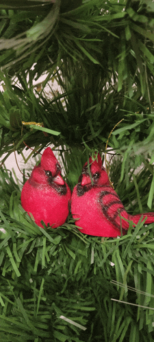 two red cardinal ornaments are sitting on a green christmas tree