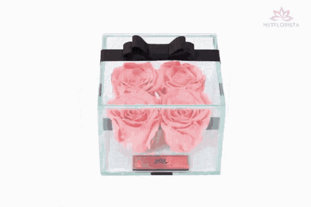 pink roses in a clear glass box with a black bow .