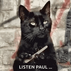 a black cat is holding a nail file in its paws and saying `` listen paul '' .