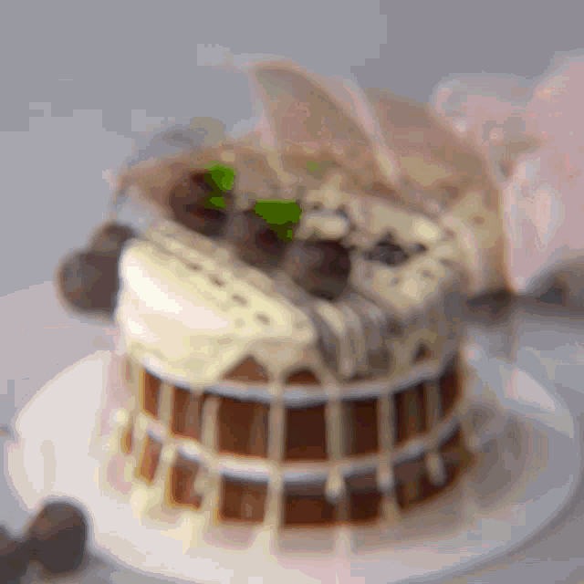 a close up of a chocolate cake with white frosting on a plate
