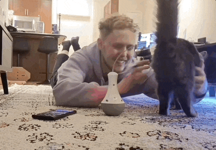a man laying on the floor playing with a cat and a toy