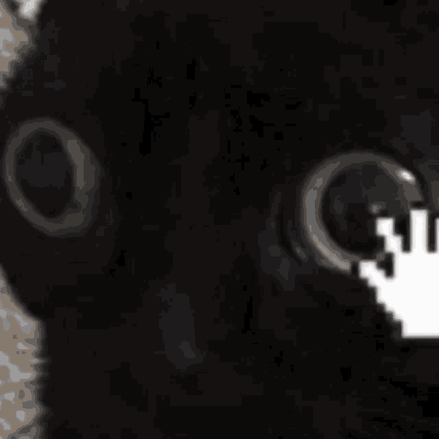 a close up of a black cat 's face with a pixelated hand on it 's nose .