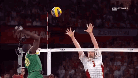a volleyball game is being played in a stadium