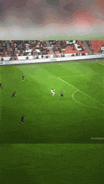 a group of soccer players are playing on a field with a crowd watching