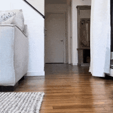 a living room with a white couch and a rug