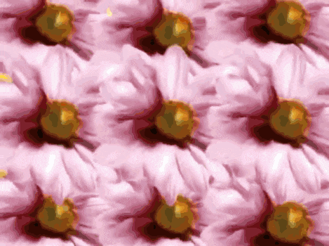 a pattern of pink flowers with a yellow center