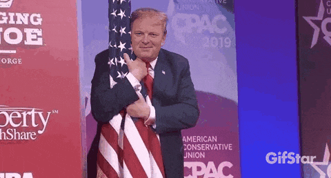 a man in a suit and tie holding an american flag