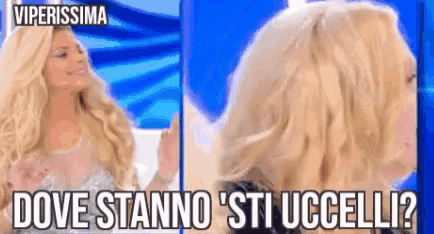 a woman is looking at herself in a mirror with the words dove stanno sti uccelli