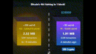 Halving Bitcoin GIF - Halving Bitcoin Btc GIFs