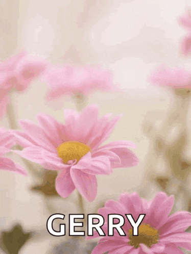 a happy mother 's day greeting card with pink flowers