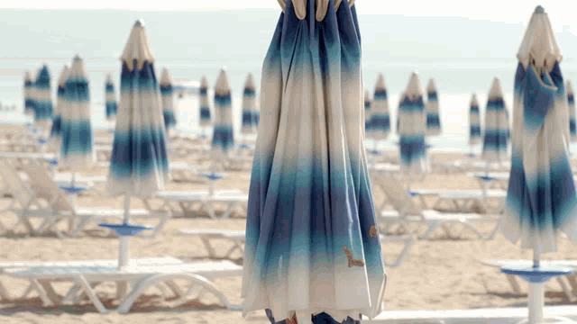 a row of blue and white umbrellas are on a beach