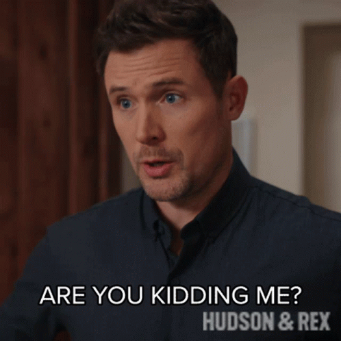 Are You Kidding Me Charlie Hudson GIF - Are You Kidding Me Charlie Hudson Hudson And Rex GIFs