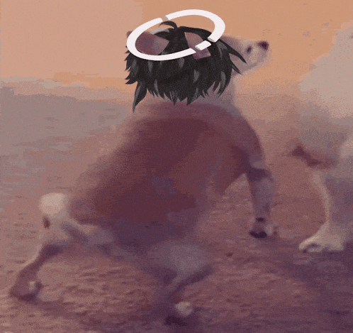 a dog with a white halo on its head is standing on its hind legs