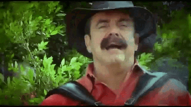 a man with a mustache is wearing a cowboy hat and making a funny face .