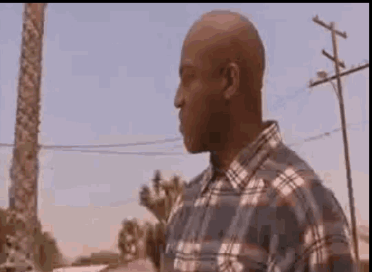 a man wearing a plaid shirt is standing in front of a palm tree .