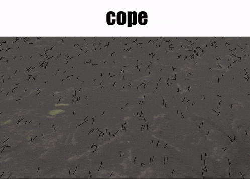 a drawing of four eggs in a hole with the word cope above it