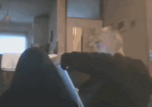a blurry picture of a person sitting on a couch in a room