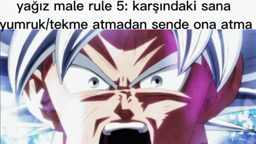 Yagiz Male Rule1 Yağız Male Rule GIF - Yagiz Male Rule1 Yagiz Male Rule Yağız Male Rule GIFs