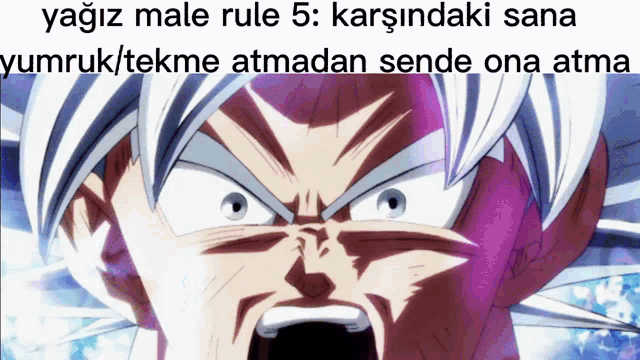 a picture of a cartoon character with a caption that says yagiz male rule 5 karsindaki sana