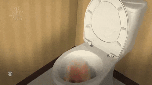 a toilet with the lid open and a cbs logo on the bottom right