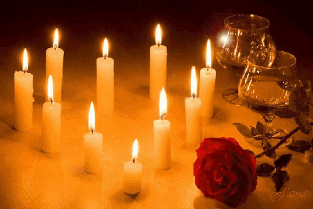 several lit candles are arranged in a circle with a red rose in the foreground