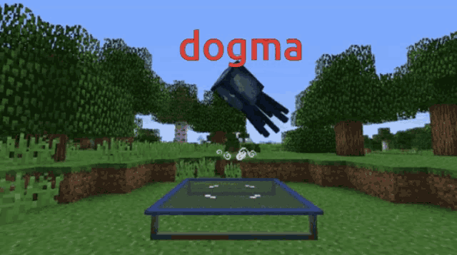 a squid is flying over a trampoline in a minecraft game called dogma