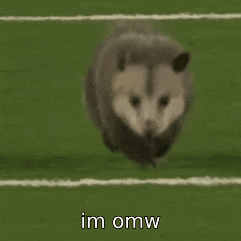 Opossum Running GIF - Opossum Running Football GIFs