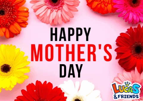Happy Mothers Day Happy Mother Day GIF - Happy Mothers Day Happy Mothers Happy Mother Day GIFs