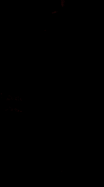 the back of a woman in a saree is shown .
