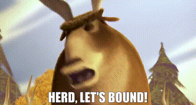 a moose from a cartoon says `` herd , let 's bound ! '' .