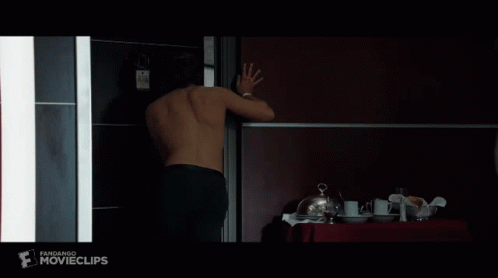 The Hangover Holy Fuck Hes Not Kidding There Is A Tiger In There GIF - The Hangover Holy Fuck Hes Not Kidding There Is A Tiger In There GIFs