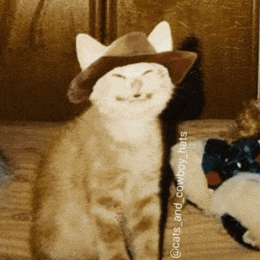 Vernon Cat Smile Vernon Cat GIF - Vernon Cat Smile Vernon Cat Vernon Smile GIFs