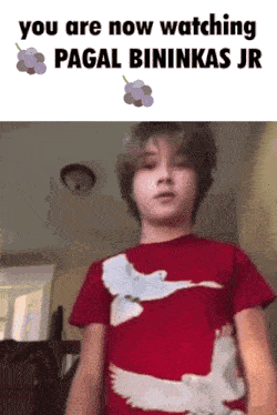 a young boy is wearing a red shirt with a dove on it and says you are now watching pagal bininkas jr