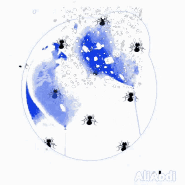 a drawing of spiders in a circle with the name aliabdi