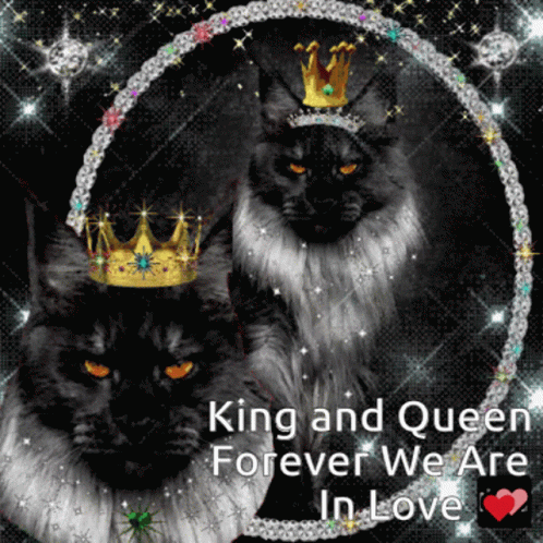 Cat Gato Black Sparkle Twinkle GIF - Cat Gato Black Sparkle Twinkle King Queen GIFs