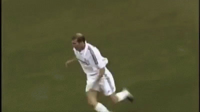 Zinedine Zidane Soccer GIF