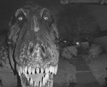 a black and white photo of a dinosaur 's head