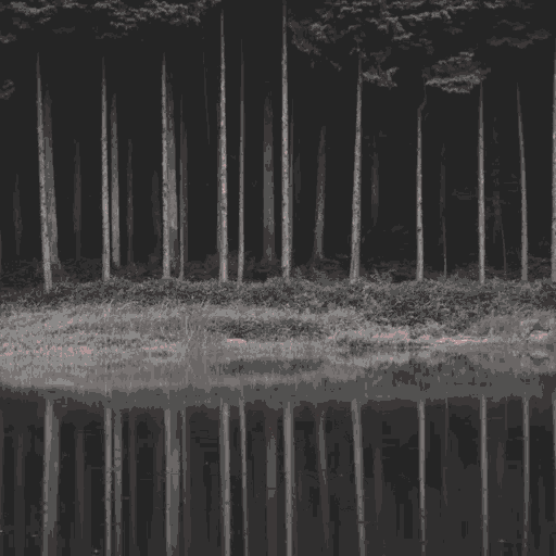 Aesthetic Forest GIF - Aesthetic Forest Wattpad GIFs