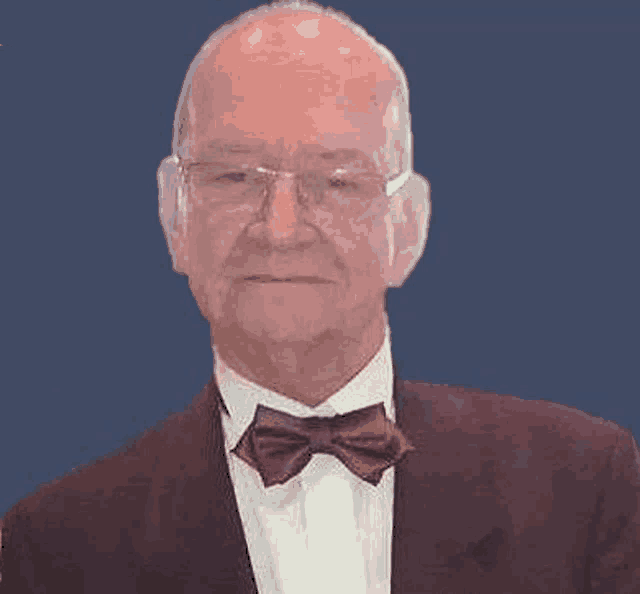 a man wearing a suit and bow tie is looking at the camera .