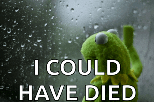 kermit the frog is standing in front of a window with the words i could have died above him