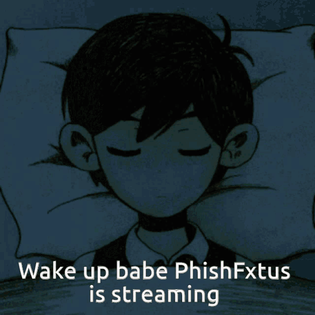 a picture of a person sleeping with the words wake up babe phishfxtus is streaming