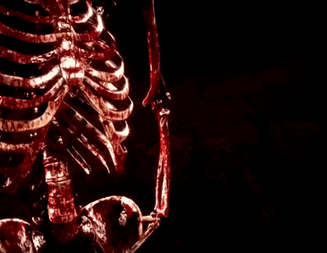 a bloody skeleton with the words chat vybladkov above it